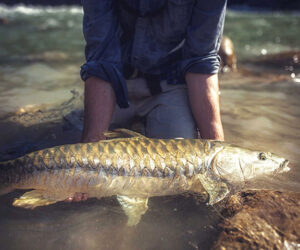Bhutan Angler’s Escape – 10 Nights & 11 Days