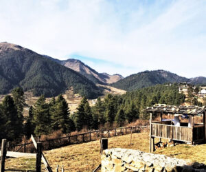 The Phubjikha Gangtey Trek – 9 Nights & 10 Days