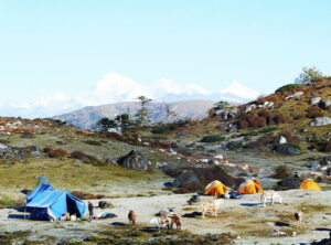 Druk path Trek – 11 Nights & 12 Days