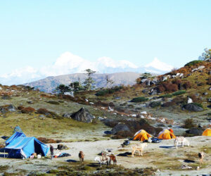Druk path Trek – 11 Nights & 12 Days