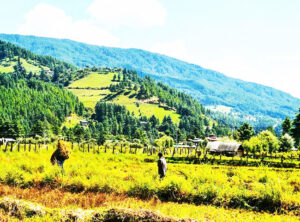 Bumthang Cultural Trek – 10 Nights 11 Days
