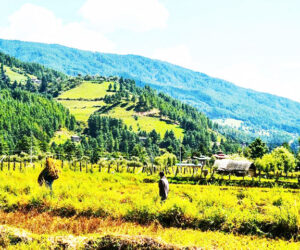 Bumthang Cultural Trek – 10 Nights 11 Days