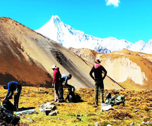 Laya Gasa Trek – 16 Nights 17 Days