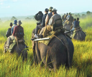 Bhutan Manas wildlife Safari – 12 Nights & 13 Days