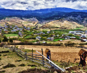 Bhutan’s Wonders & Wilderness-9 Nights & 10 Days