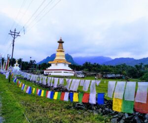 Enchanting Dooars – 4 Nights & 5 Days
