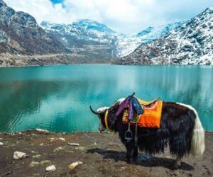 Timeless beauty of Hills – 5 Night 6 Days