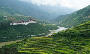 Top 10 Reasons to Travel to Bhutan During June to August     