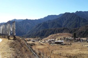 Pele La Pass to Rukubji Village Hike (Trans Bhutan Trail Section)